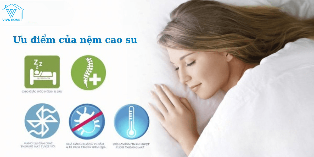 Cửa hàng nệm quận Tân Bình