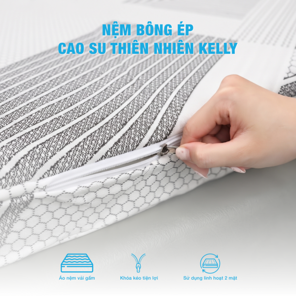 Nệm Cao Su Bông Kelly 11 nem kelly 4